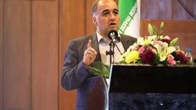 سوئیفت‌ها گردشگری
