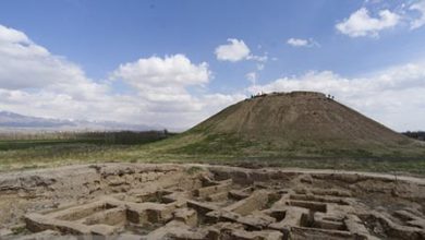 موزه سازمان ملل