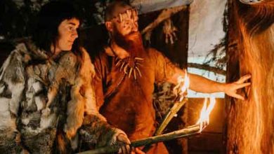 عصر حجری مدرن