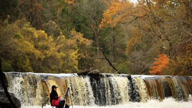 آکادمی هنرهای زیبا پنسیلوانیا