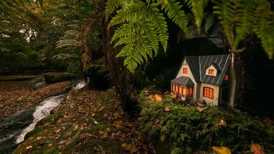 خانه های مینیاتوری