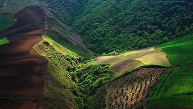 استان گلستان