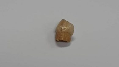 پناهگاه صخره‌ای ورواسی