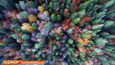 رنگ های پاییزی