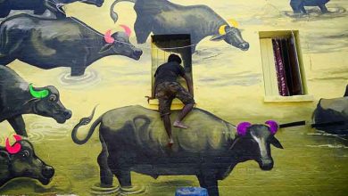 عکسهای خبری