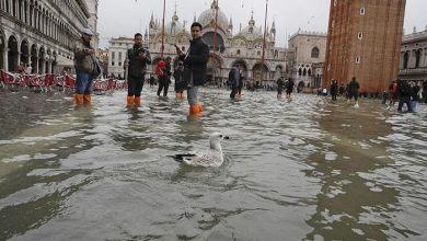 خیابانهای ونیز