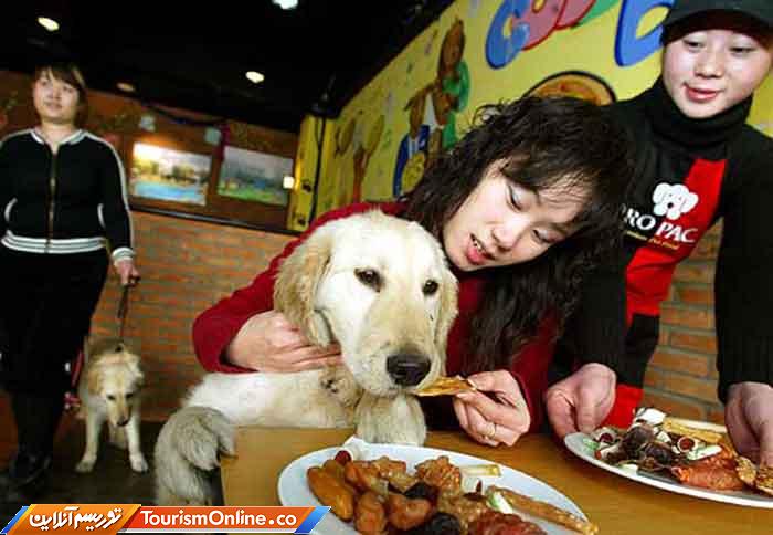 رستورانهایی متفاوت