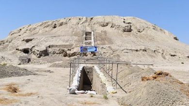 باستان‌شناسان