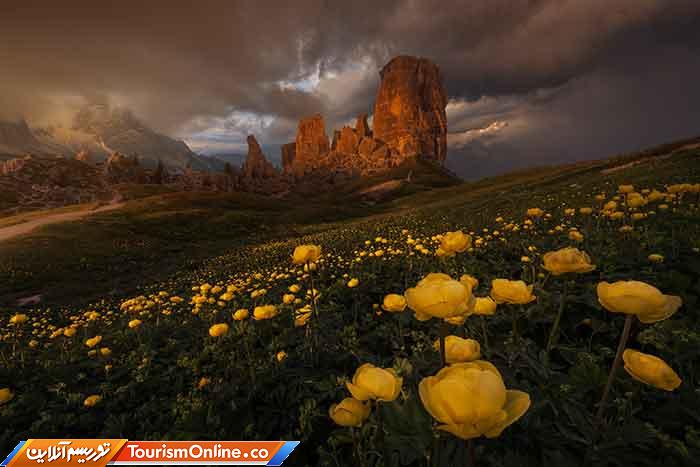 عکاس سال طبیعت