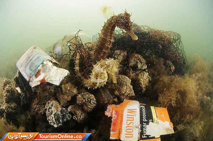 عکاس سال طبیعت