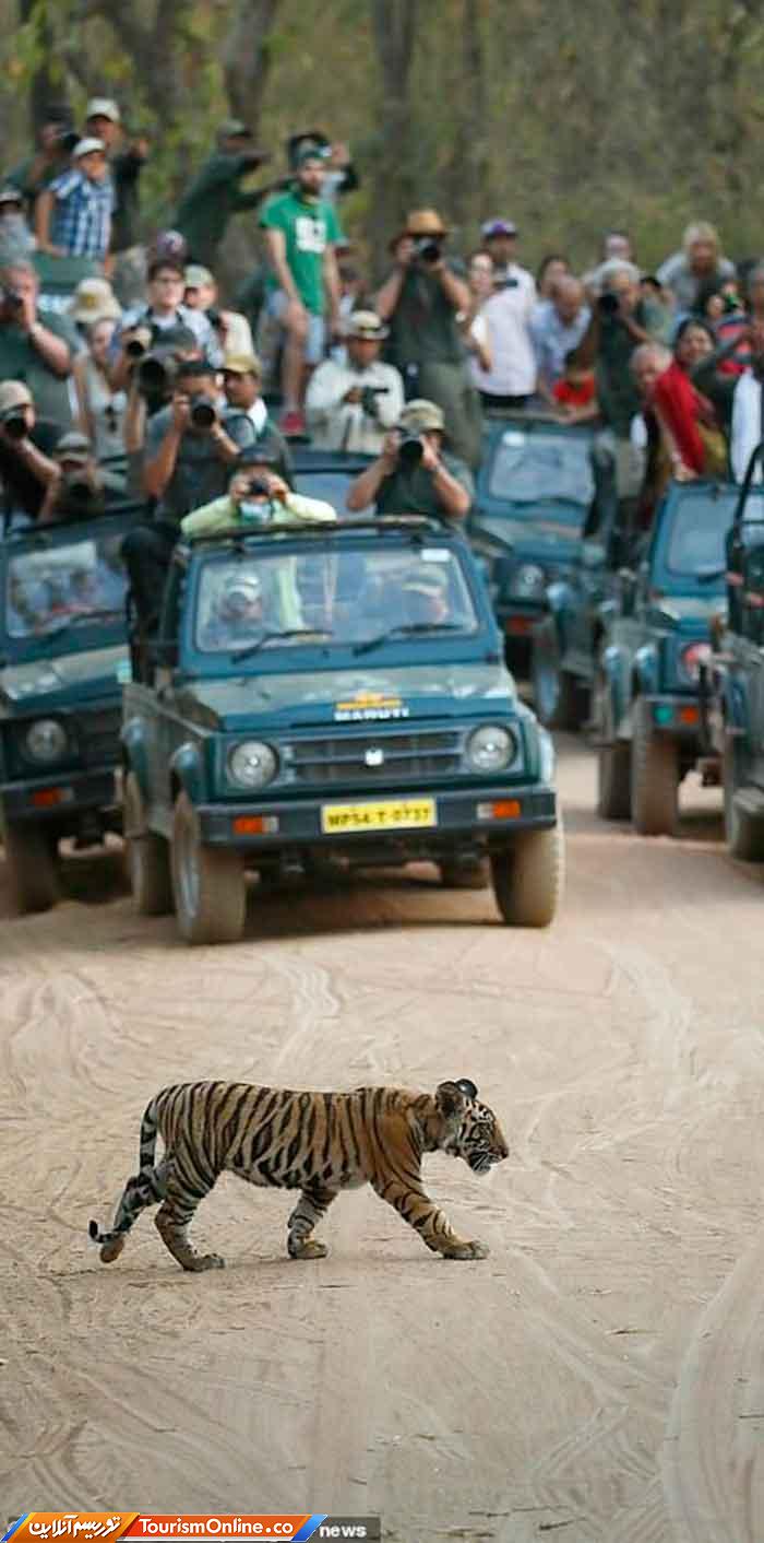 عکاس سال طبیعت