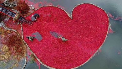 آندری استنین