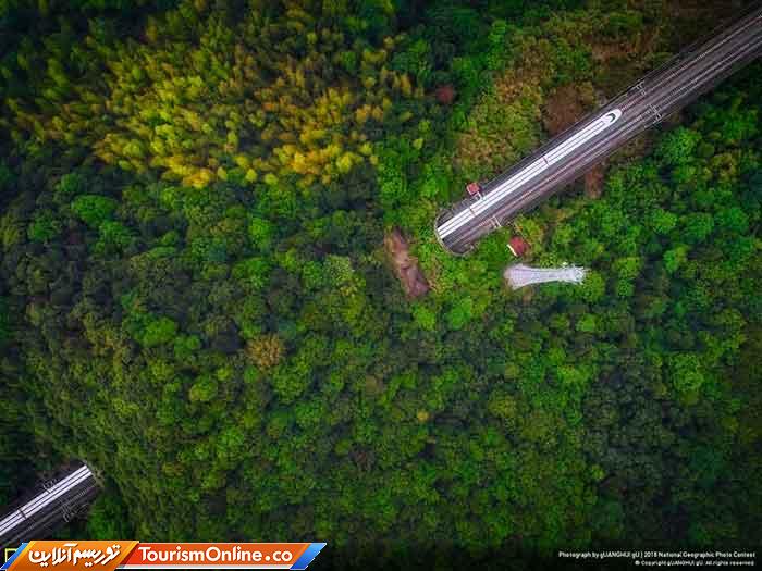 نشنال جئوگرافیک