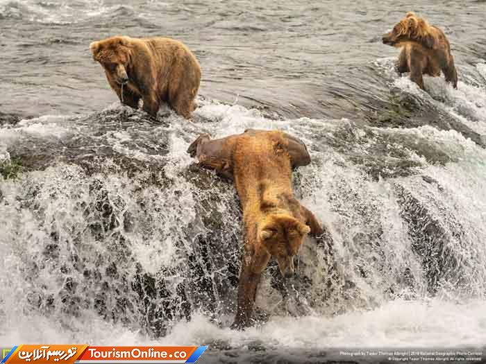 نشنال جئوگرافیک