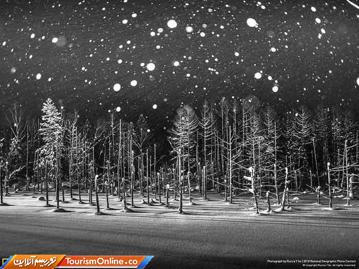 نشنال جئوگرافیک