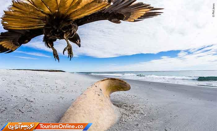 موزه تاریخ طبیعی لندن