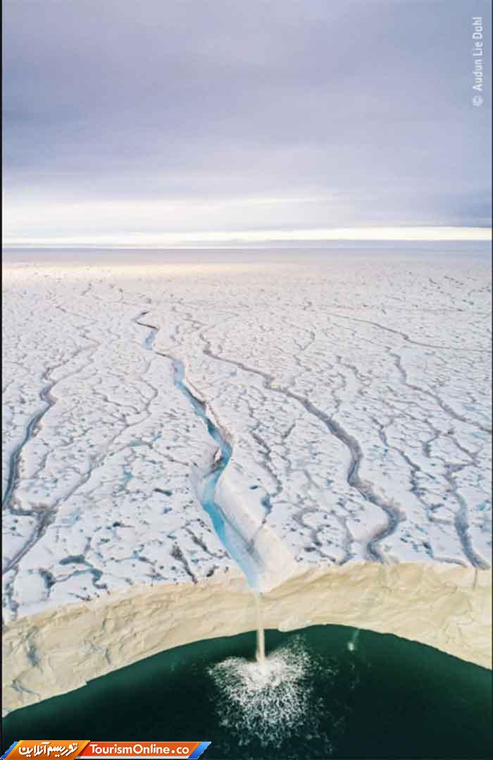 موزه تاریخ طبیعی لندن