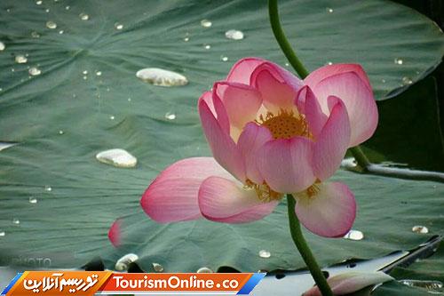 تالابهای ایران