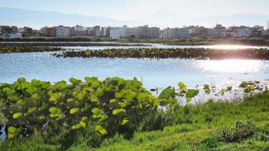 تالاب‌های ایران
