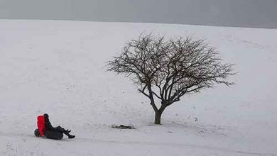 بارش برف و باران