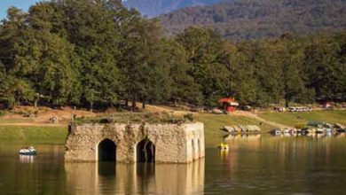 باغ جهانی بهشهر