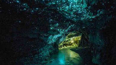 غارهای وایتومو