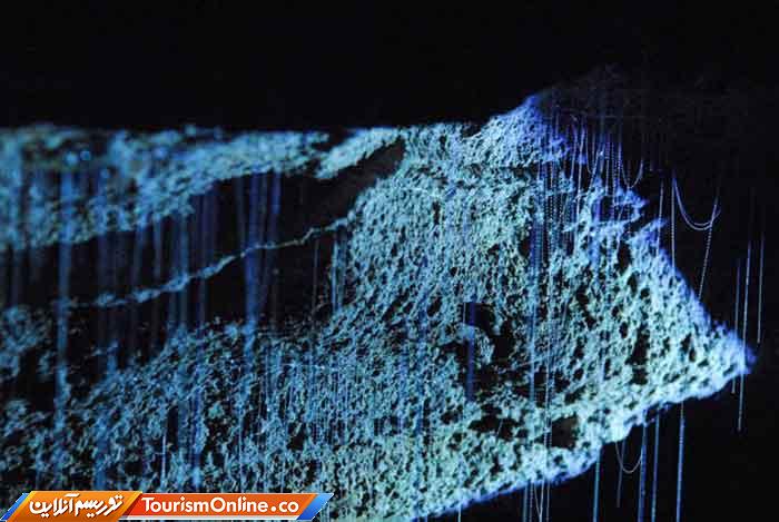 غارهای وایتومو