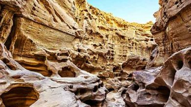 تنگه چاهکوه