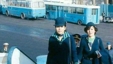 مهمانداران هوایپمایی هما