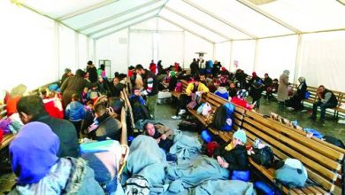 پارک افغان‌ها