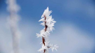 عکسهای خبری