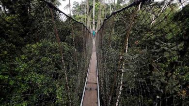 عکسهای خبری