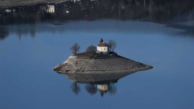 عکسهای خبری