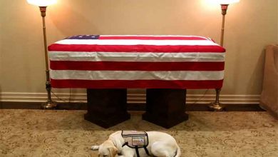 عکسهای خبری