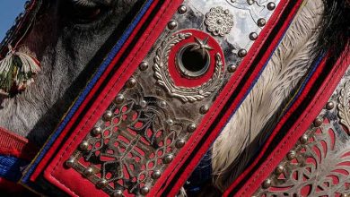 عکسهای خبری