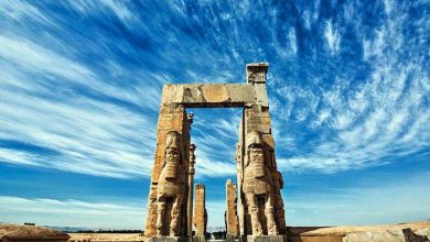 مدیرکل میراث فرهنگی استان فارس