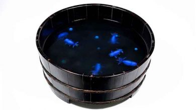 نقاشی های سه بعدی با رزین