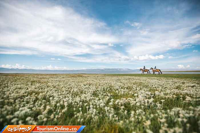 زندگی و سفر