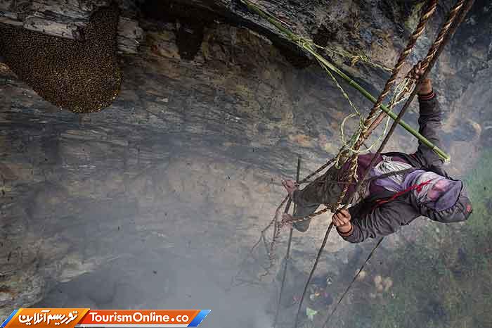 عکاس برتر سال