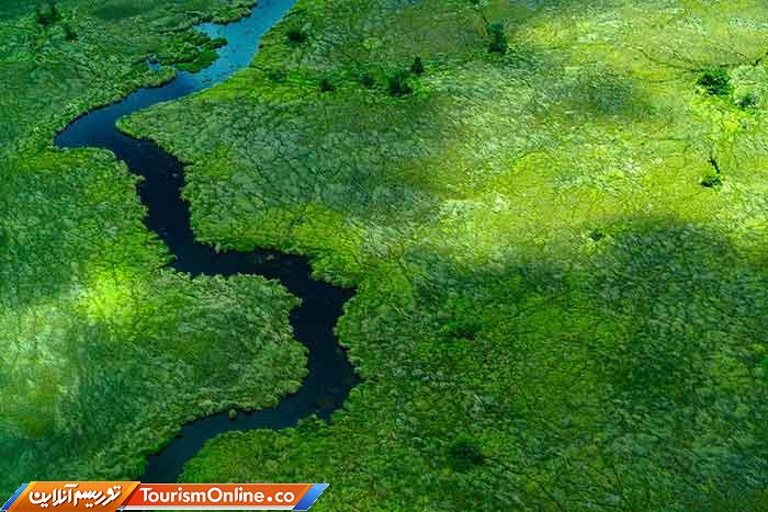 عکاس برتر سال