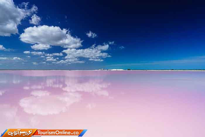 عکاس برتر سال