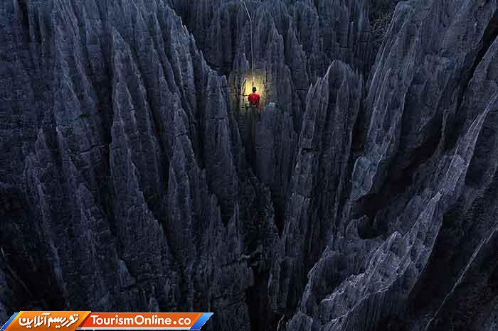 عکاس برتر سال