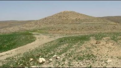 روستای حیدری