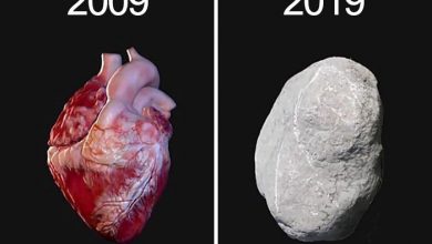 چالش 10 ساله