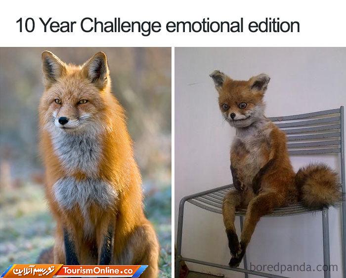 چالش 10 ساله