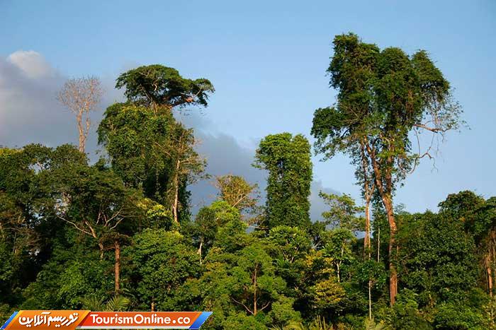 جزایر آندامان