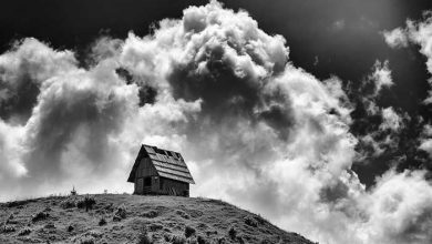 عکاسی سیاه و سفید