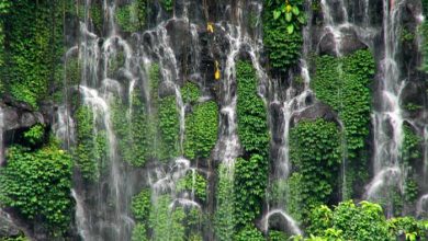 شهر ایلیگان