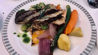 غذای هواپیمایی