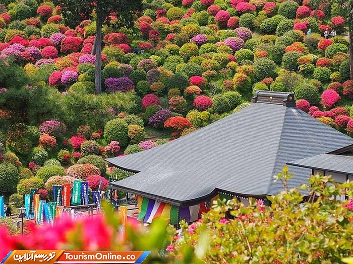 معبد بودایی